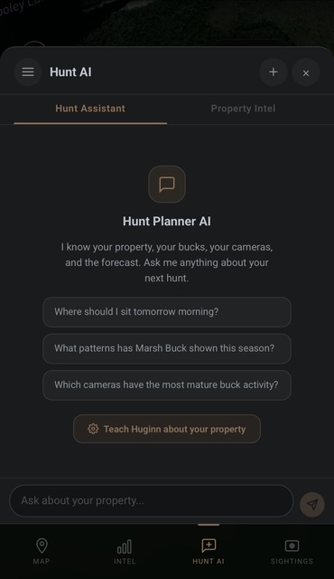 Hunt AI chat assistant interface