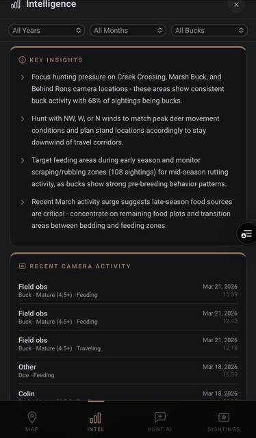 AI insights engine showing discovered patterns