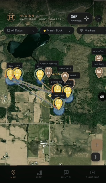 Movement lines on satellite map showing buck travel between cameras